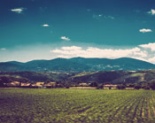 网络ddos监测分析工具