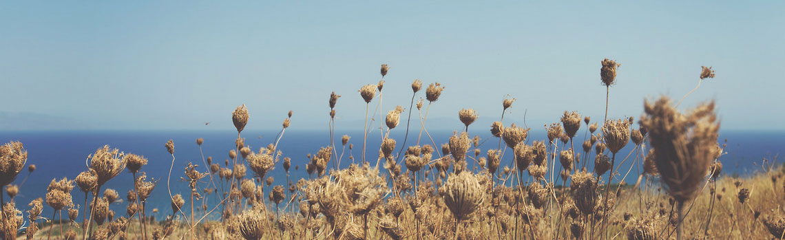 免费ddos攻击网页端