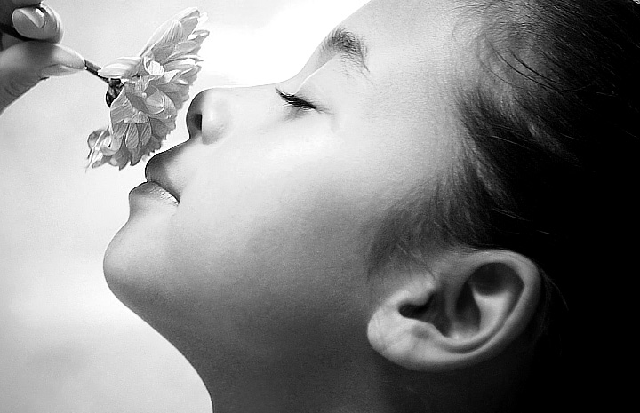 在线DDOS攻击平台